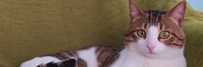 Semra Kuytul's banner