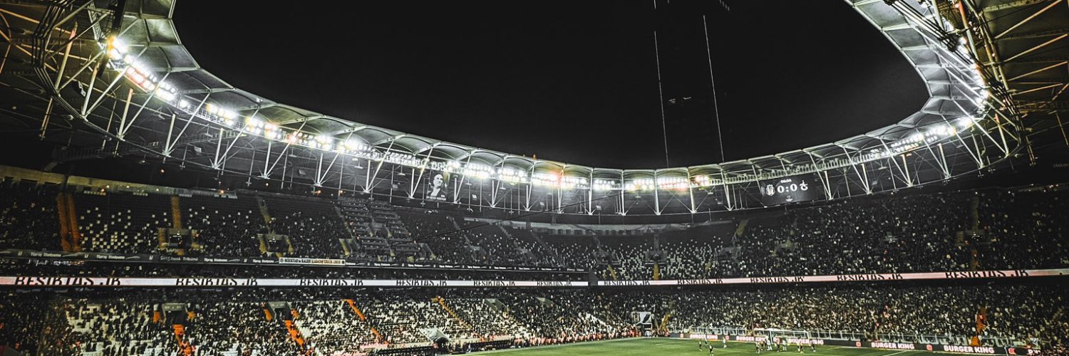 Atabey doğan's banner