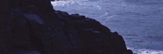 少御的爸爸's banner