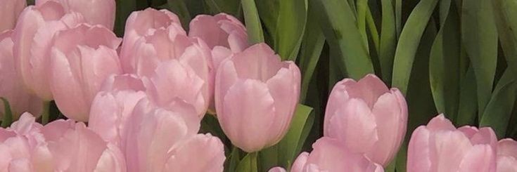via's banner