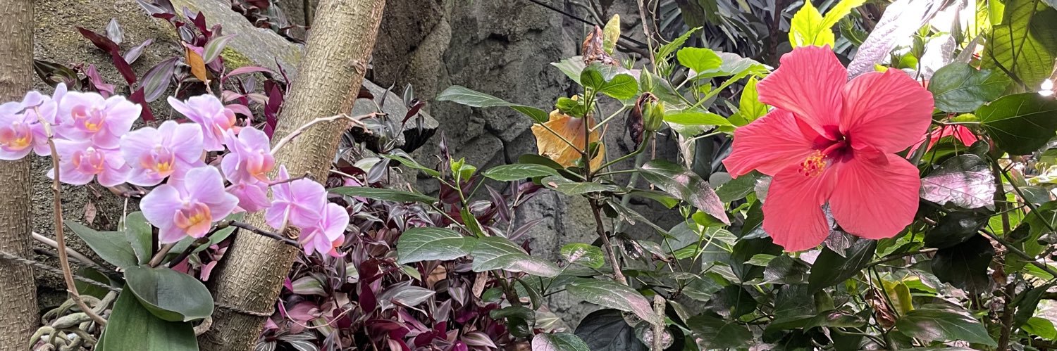 Eeri (⁠ﾉ⁠◕⁠ヮ⁠◕⁠)⁠ﾉ⁠*⁠.⁠✧'s banner