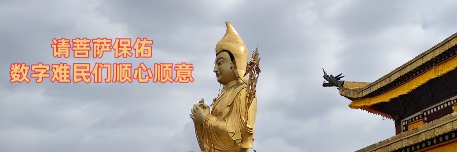 淘淘's banner