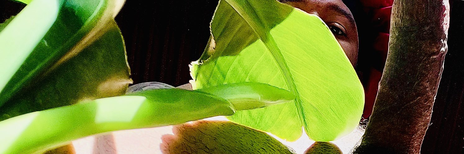LawLadnar's banner
