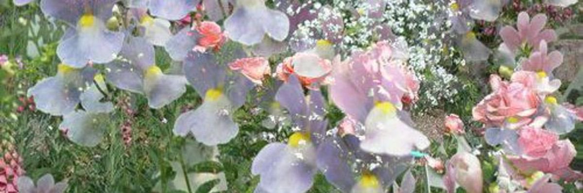 -mandy's banner