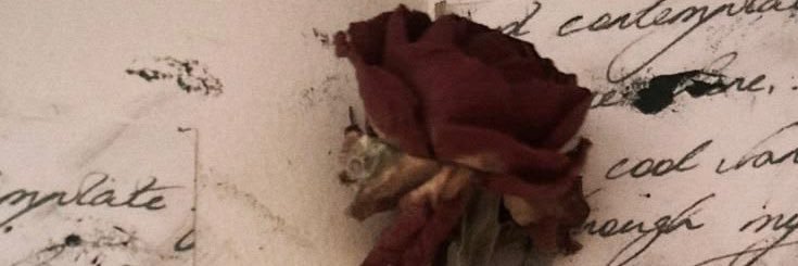 -mandy's banner