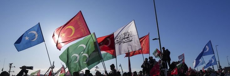 s's banner