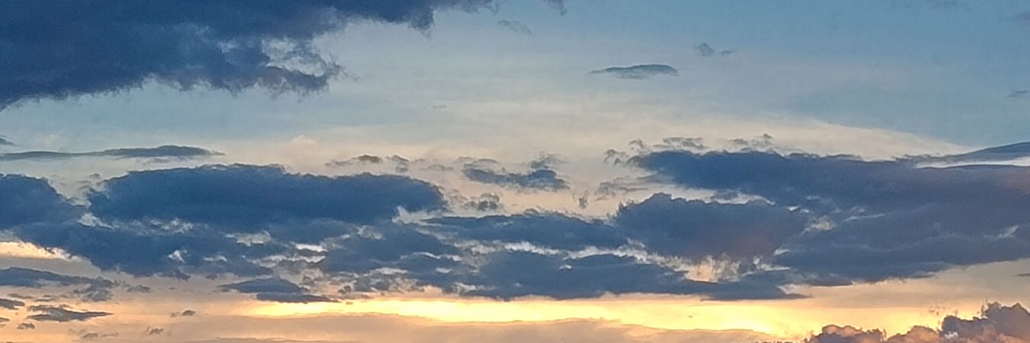 TaylorRedMary's banner