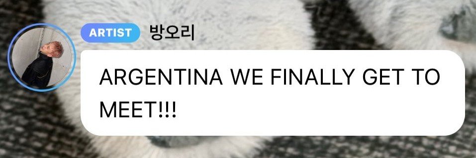 pau¹ VIO A SKZ 🇦🇷's banner