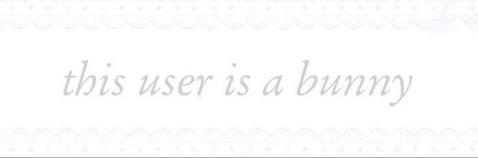 BunBun🐇˚. ᵎᵎ 🎀's banner