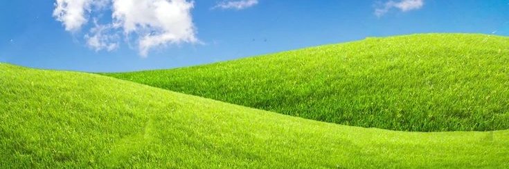 joody14🔞's banner