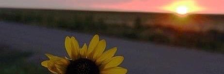 Per🐣's banner