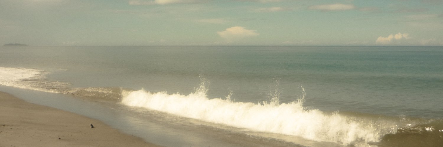 lin⋆౨ৎ˚⟡˖ ࣪'s banner