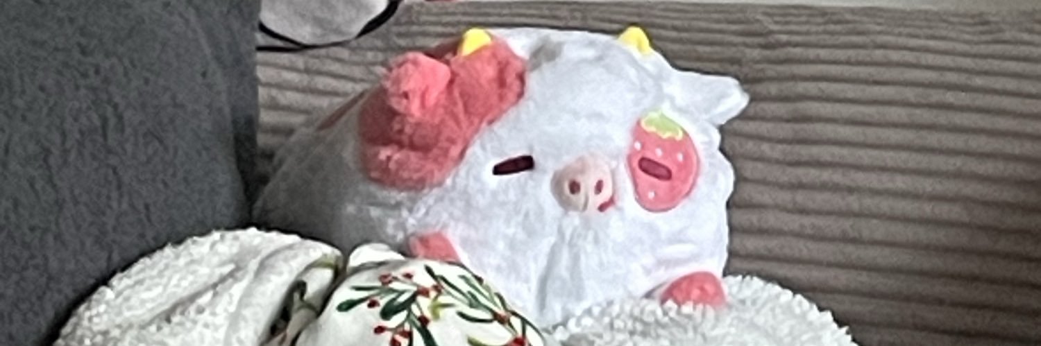 ✿˚⋆L's banner