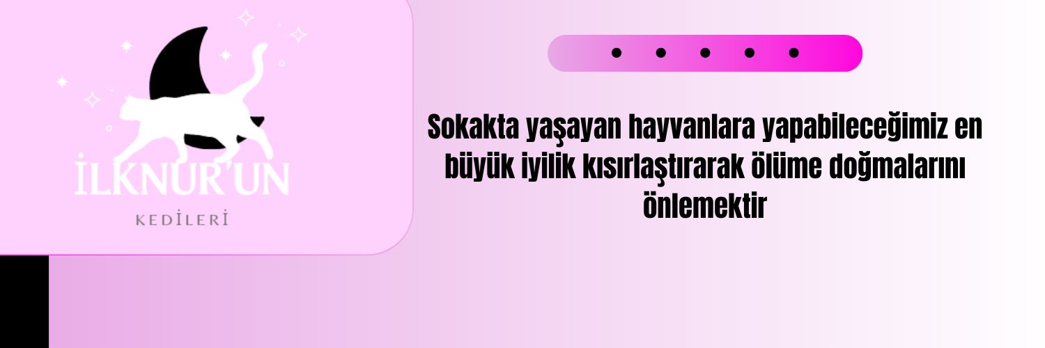 İlknur's banner