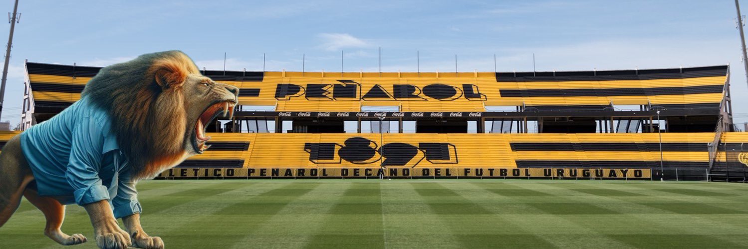 Diego Vicente's banner