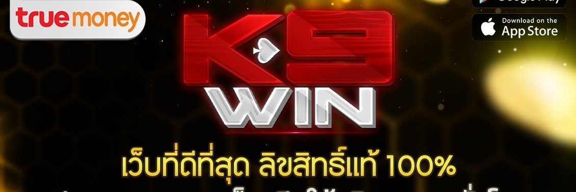 K9WIN's banner