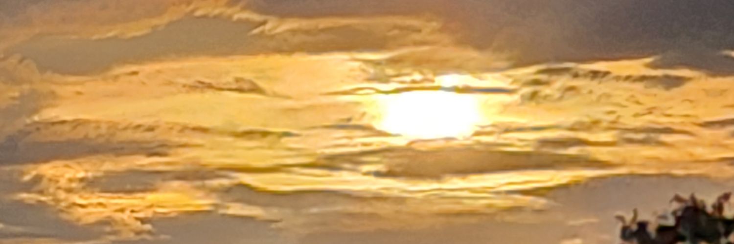 Holger's banner