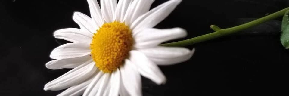 X's banner
