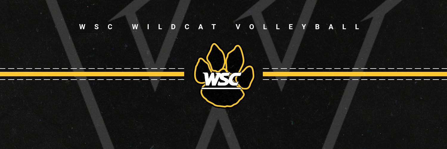WSC Wildcat Volleyball's banner