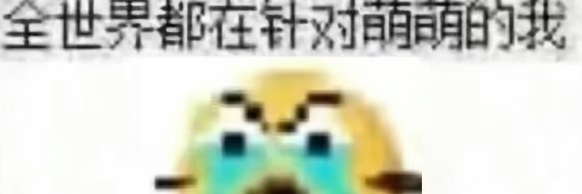 小猫狗's banner