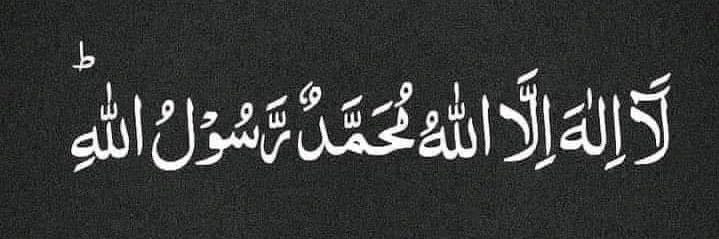 Seyyid Muhammed 🕊️'s banner