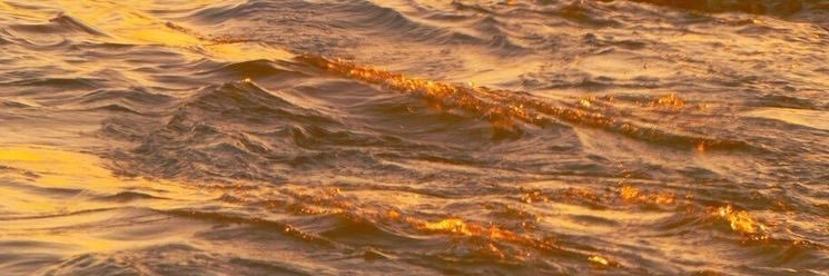 Jules 🍂's banner