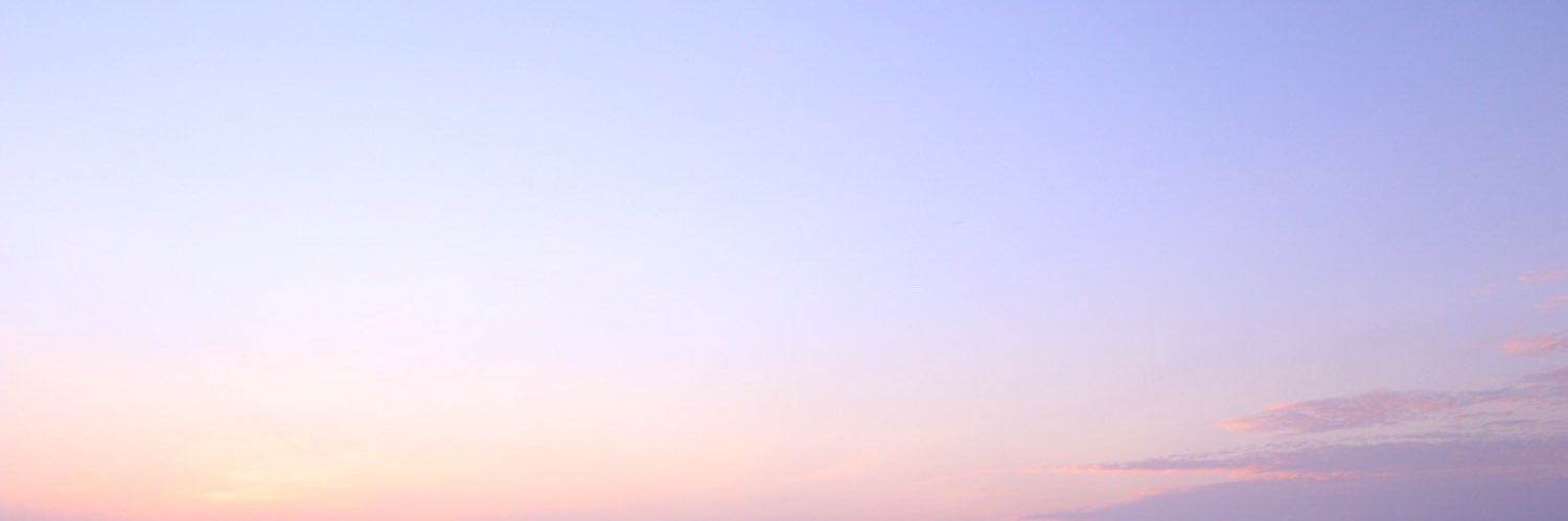 shino's banner