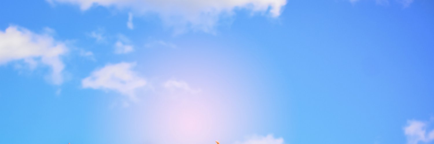 Hunter Mo's banner
