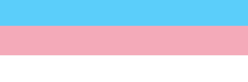 Miss_ Hedonia_Euphoria🏳️‍⚧️'s banner