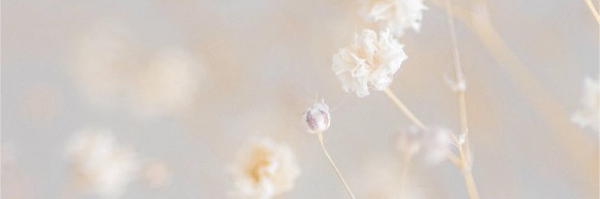 ルナ☽'s banner