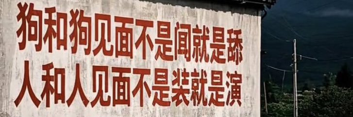 简中捞女上榜实录's banner