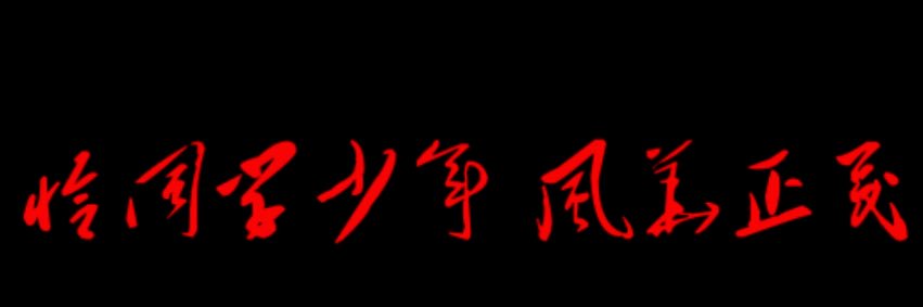 毛润之 Mao Zedong's banner
