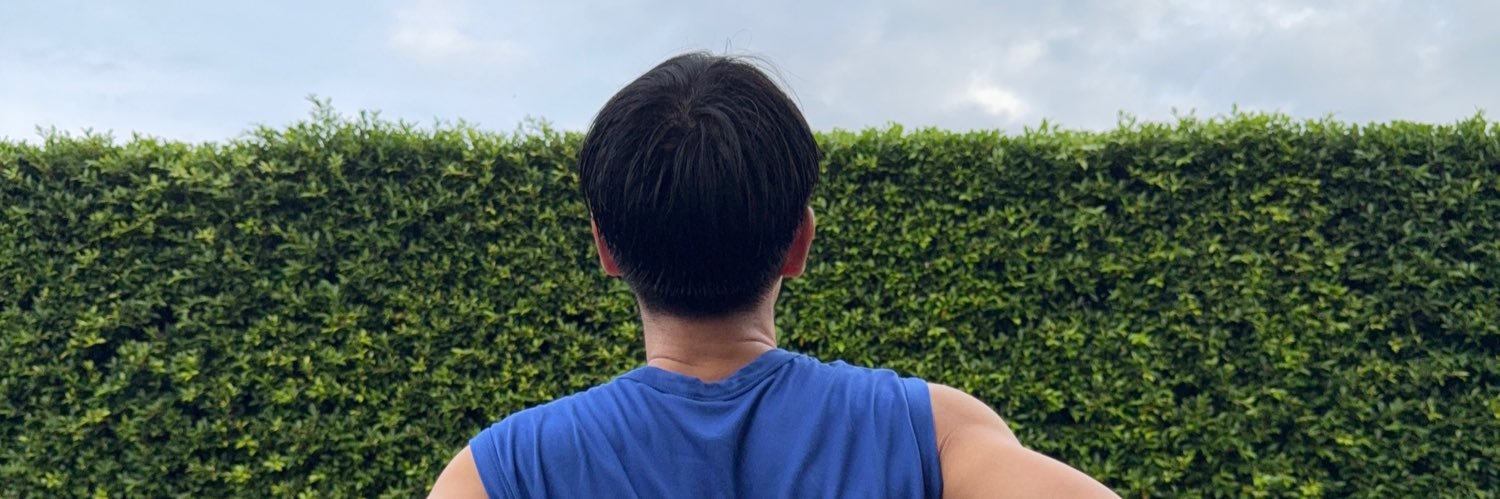 Will's banner