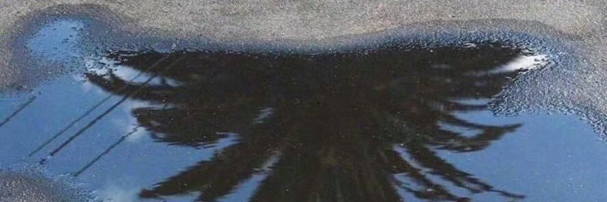 来吃麻辣烫_（长沙）'s banner