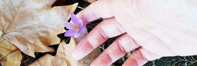 Enemiga Pública❤️💛💜🔻's banner