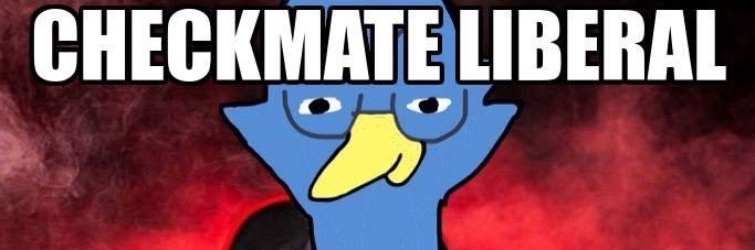 Cosmicc's banner