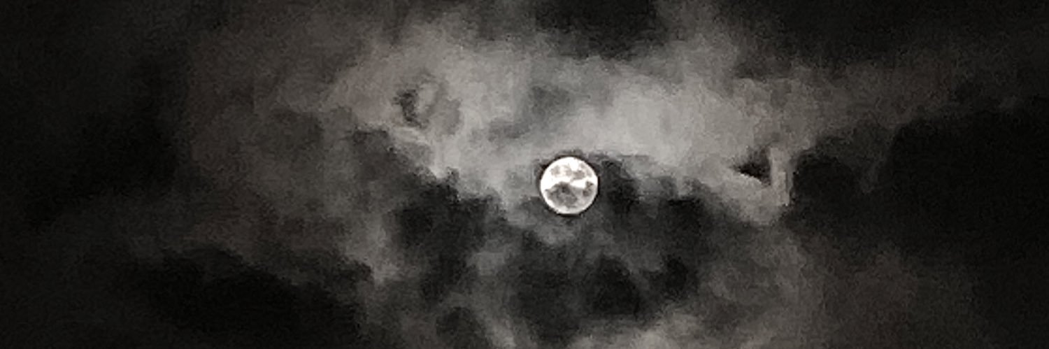 abay🌒's banner