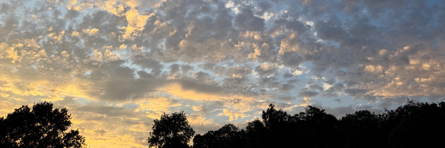 ּ's banner