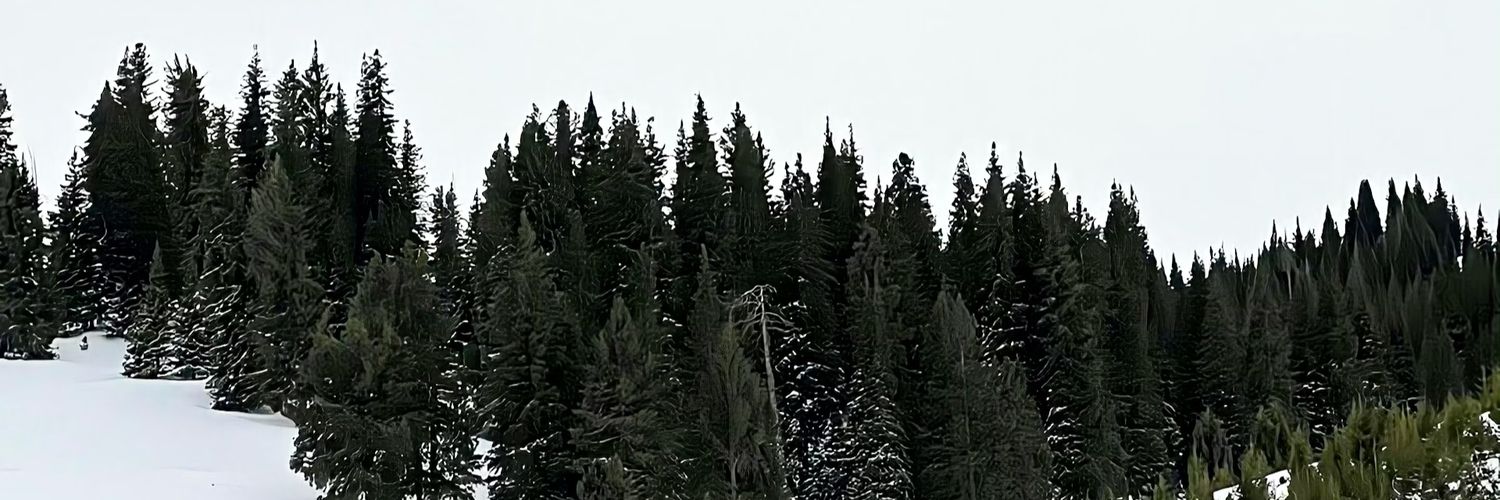 含's banner