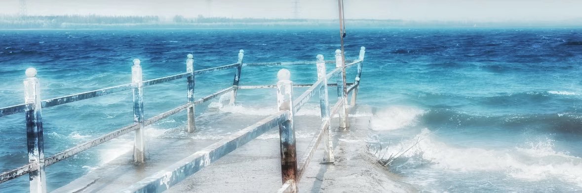 N EVER's banner