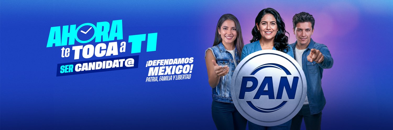 Acción Nacional's banner