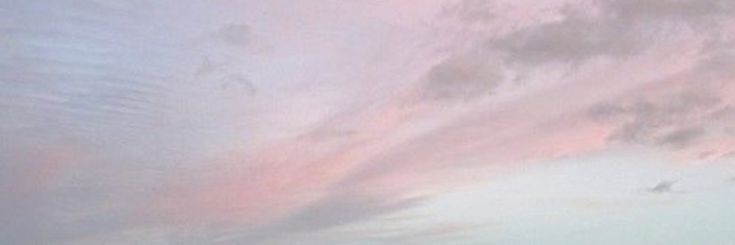 zey's banner