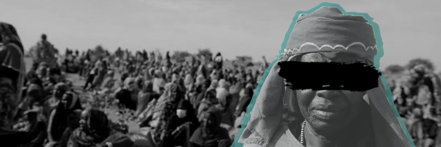 Sudan Human Rights Hub's banner