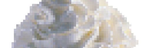 nana's banner
