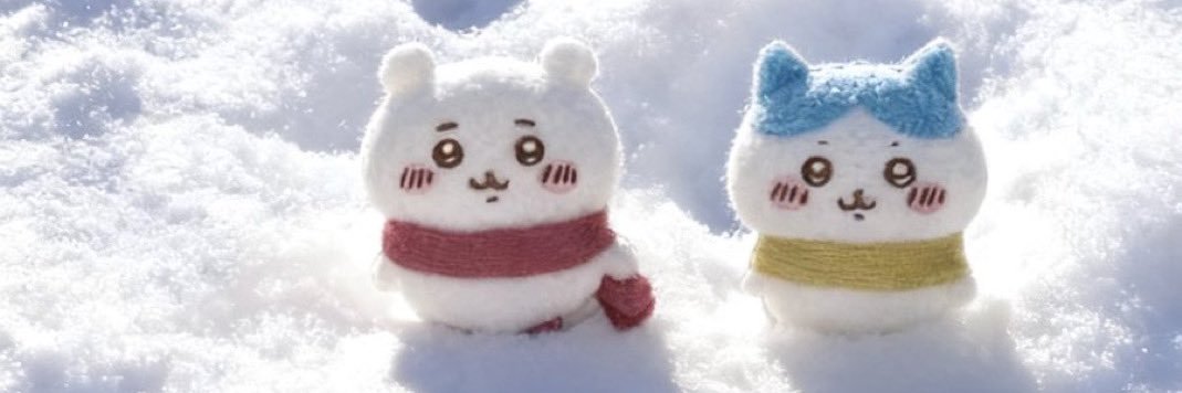 薄荷冰🧊's banner