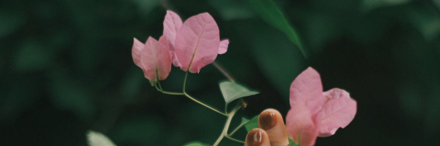 cherylaugh 🍒's banner