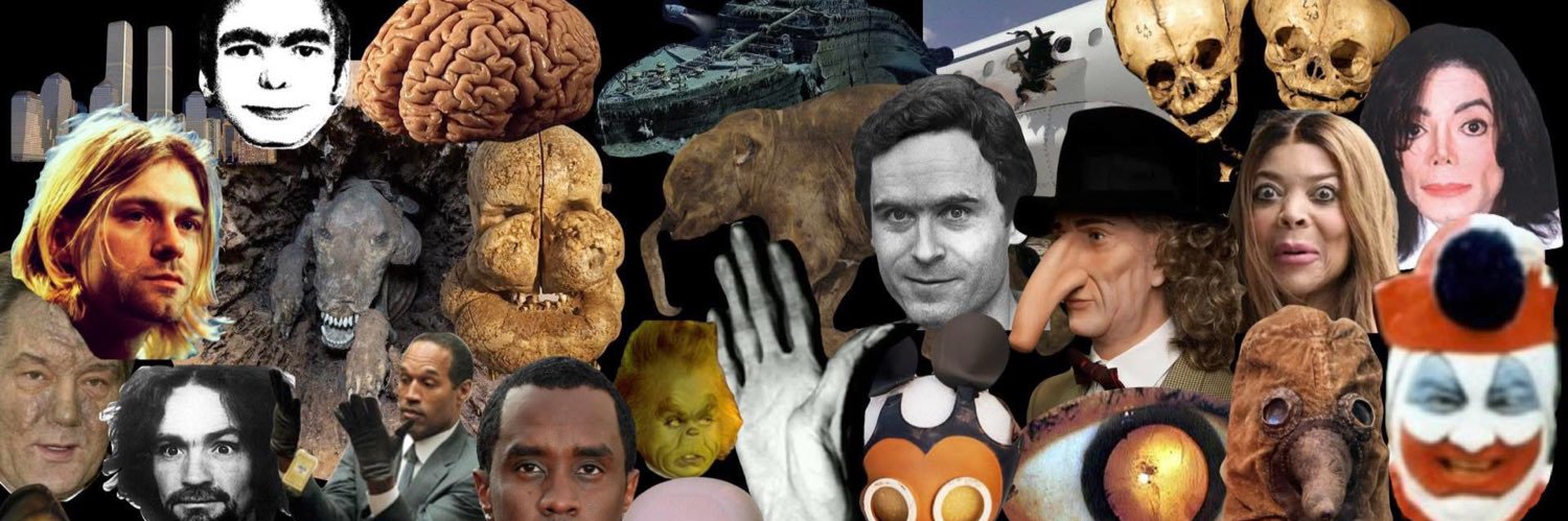 Morbid Facts's banner