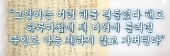 야삐's banner