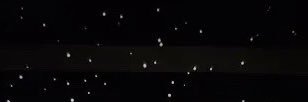 o.o's banner