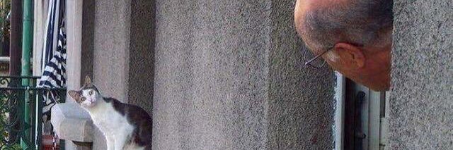 粒マスタード安次嶺's banner